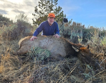 A hunter kneeling beside a cow elk in the Wyoming plains with sagebrush in the foreground, under a bright blue sky.